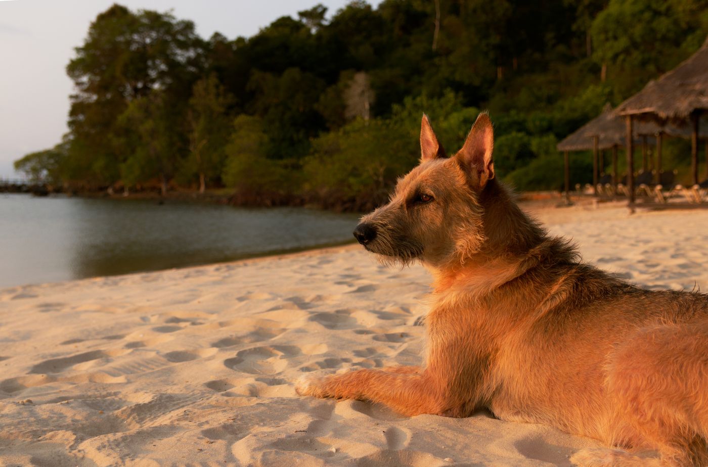 Golden hour portrait near the property